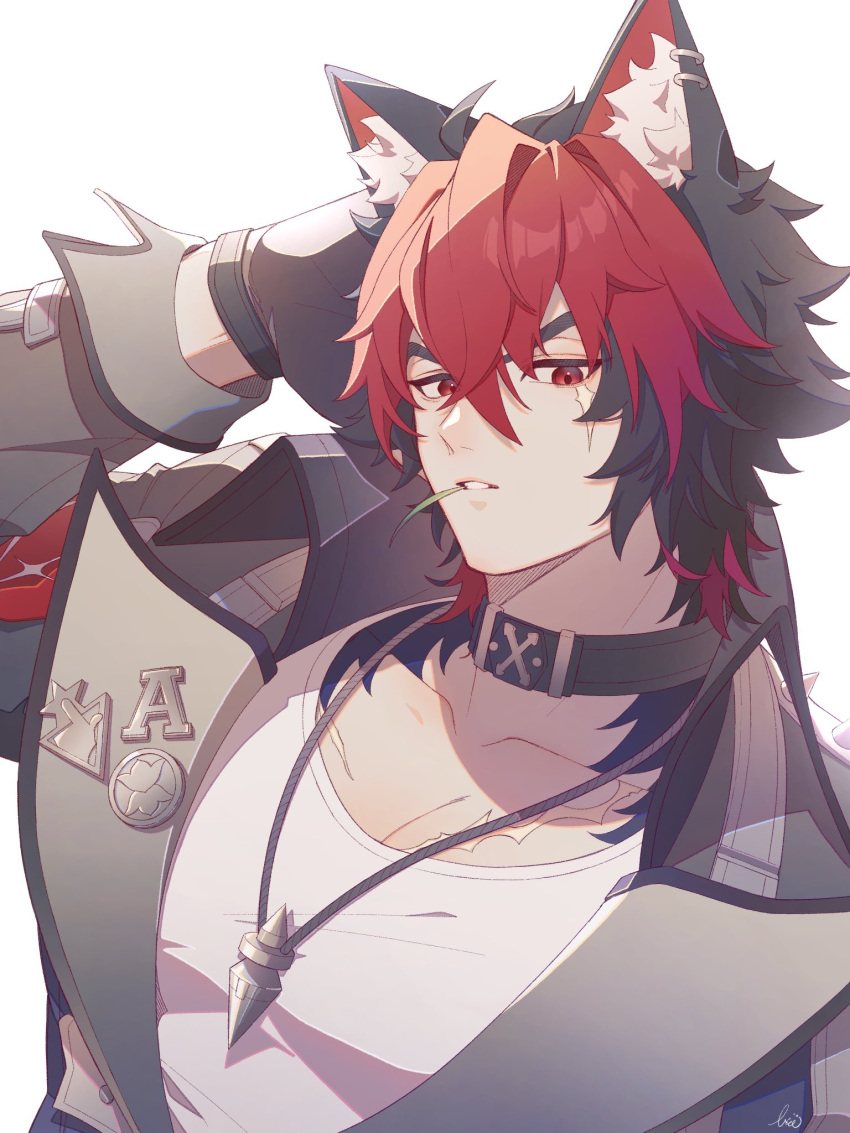 1boy, animal_ear_fluff, animal_ear_piercing, animal_ears, arm_up, black_choker, black_gloves, black_hair