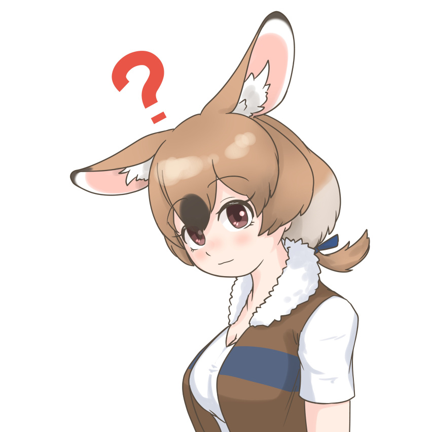 1girl, absurdres, animal_ears, blue_bow, blue_vest, blush, bow, brown_eyes