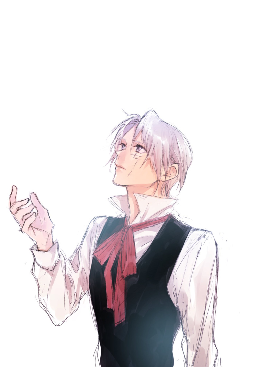1boy, allen_walker, black_vest, collared_shirt, d.gray-man, dress_shirt, facial_mark, grey_eyes