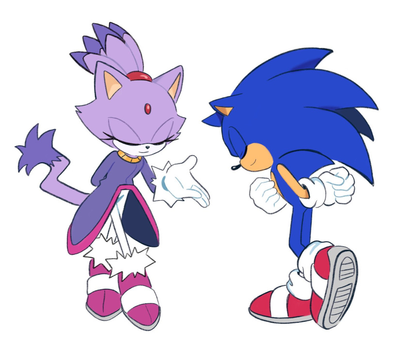 1boy, 1girl, animal_ears, blaze_the_cat, blue_fur, cat_ears, cat_girl, cat_tail, closed_eyes, forehead_jewel, fur-trimmed_gloves, fur_trim, furry, furry_female, gloves, highres, pink_shoes, ponytail, purple_fur, red_shoes, shoes, simple_background, smile, sonic_(series), sonic_the_hedgehog, tail, tokenblckfrnd, white_background, white_gloves