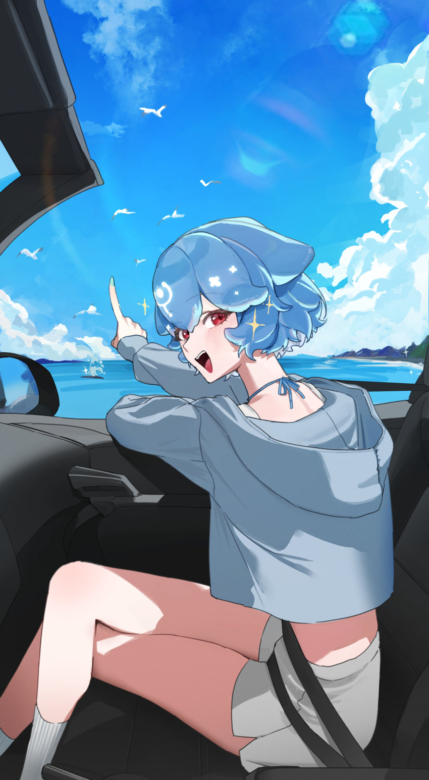 1girl, absurdres, ankle_socks, bao_(vtuber), bird, blue_hair, blue_jacket, blue_sky