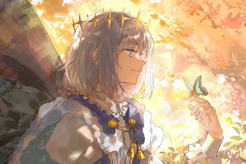 1boy, arthropod_boy, blue_eyes, bug, butterfly, butterfly_on_hand, cape, crown