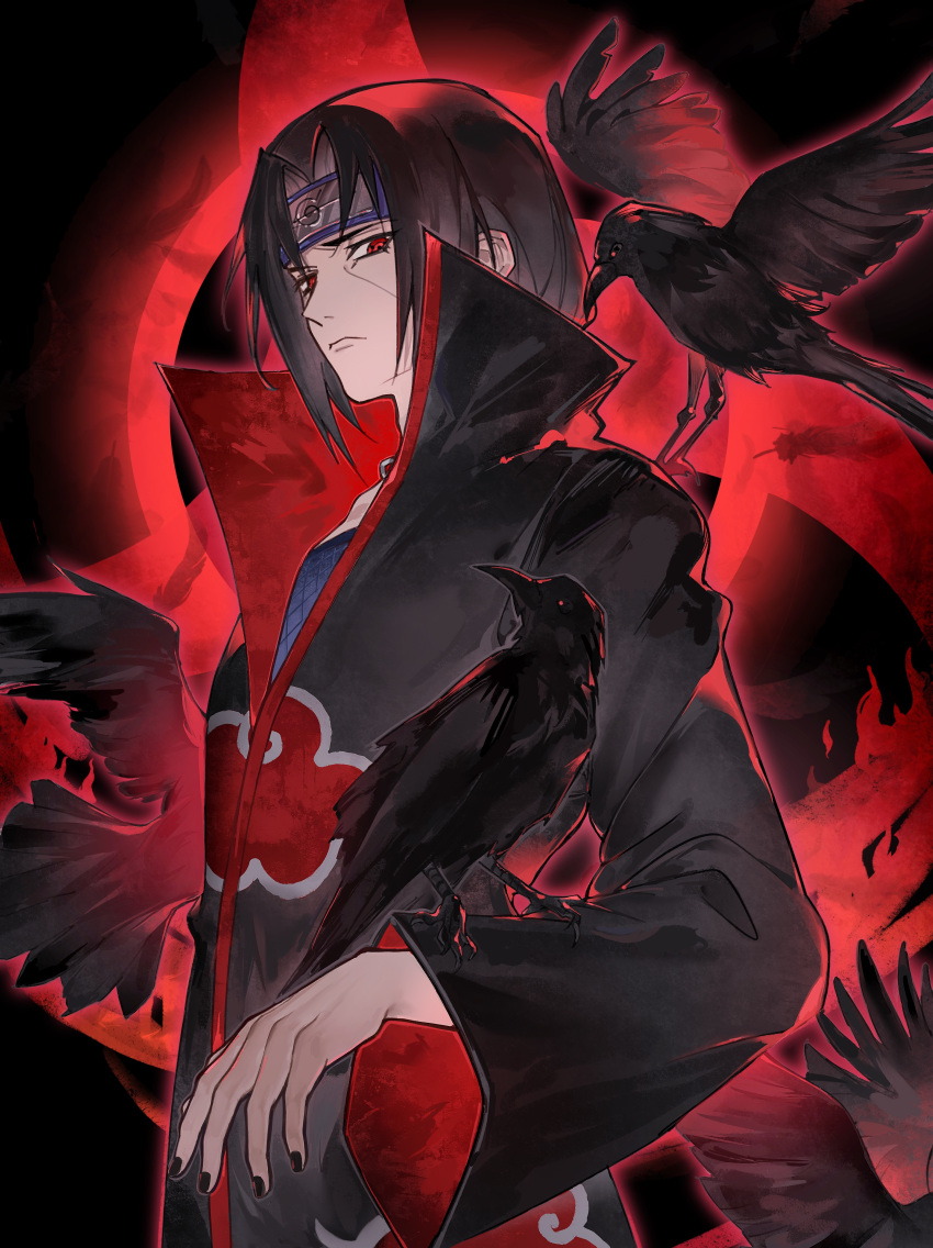 1boy, absurdres, akatsuki_uniform, animal_on_arm, animal_on_shoulder, bird, bird_on_arm, bird_on_shoulder, black_hair, black_jacket, black_nails, crow, facial_mark, fishnet_top, fishnets, headband, highres, jacket, jewelry, light_frown, looking_at_viewer, male_focus, nail_polish, naruto_(series), necklace, omegaantiworld, parted_bangs, popped_collar, red_eyes, sharingan, solo, uchiha_itachi, upper_body