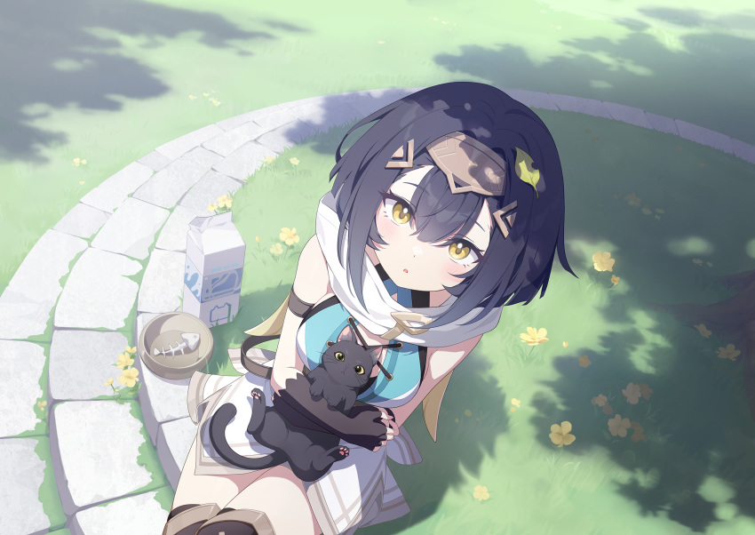 1girl, amber_(stella_sora), animal_hug, bare_shoulders, black_cat, black_gloves, black_hair, black_thighhighs