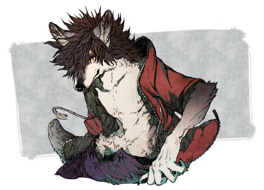 1boy, body_fur, brown_fur, brown_hair, claws, commentary_request, cowboy_shot, cropped_legs