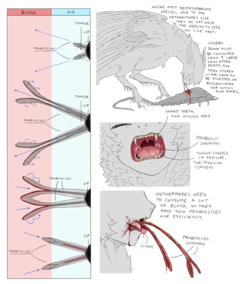 anatomy, biology, blood, blood_from_mouth, bug, closed_eyes, corpse, diagram