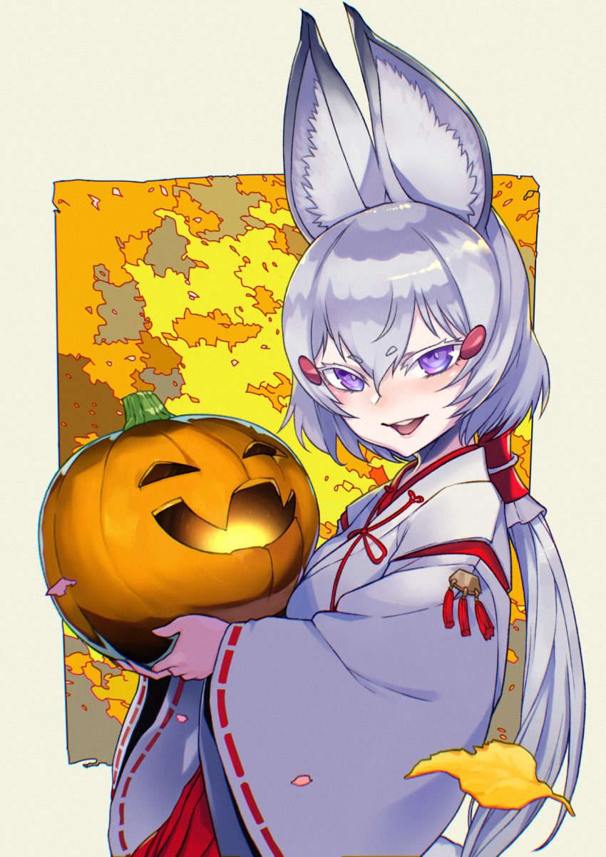 animal_ears, colored_eyelashes, fox_ears, fox_girl, hair_between_eyes, hakama, halloween, highres
