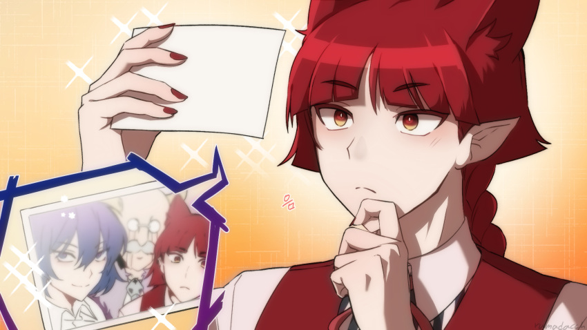 1other, animal_ears, braid, hand_up, highres, holding, holding_photo, light_frown