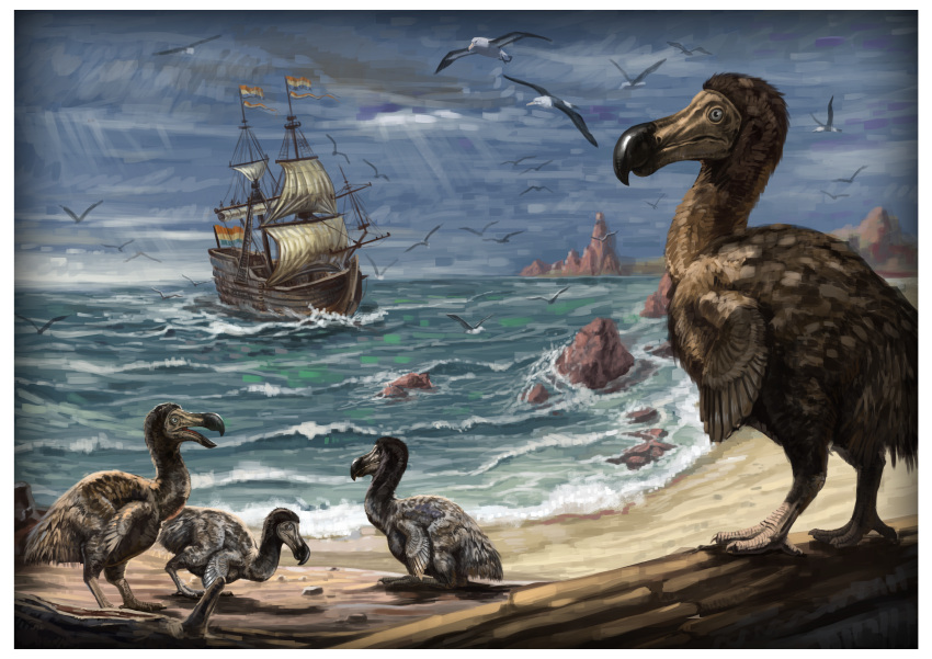 absurdres, animal, animal_focus, beach, bird, commentary_request, dodo_(bird), driftwood