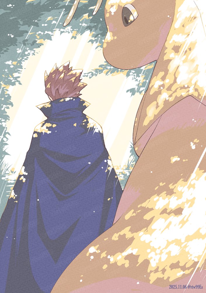 1boy, antennae, blue_cape, cape, colored_skin, dragon, dragonite, from_behind