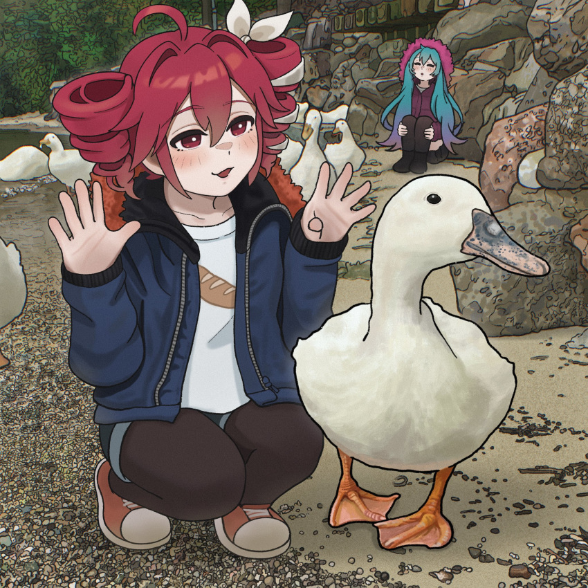 alternate_costume, anchannnnnn, aqua_hair, bird, blue_jacket, drill_hair, duck, hair_ribbon