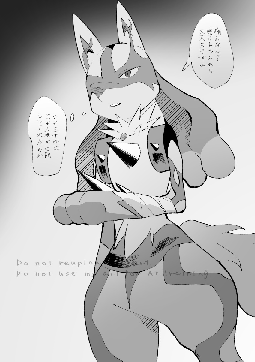 1other, absurdres, bandaged_arm, bandages, cowboy_shot, grey_eyes, grey_fur, highres