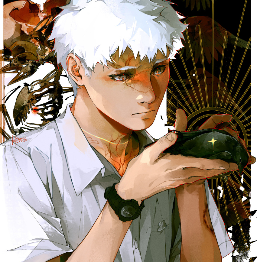 1boy, absurdres, animal, animal_bones, bird, bird_wings, bite_mark, bone