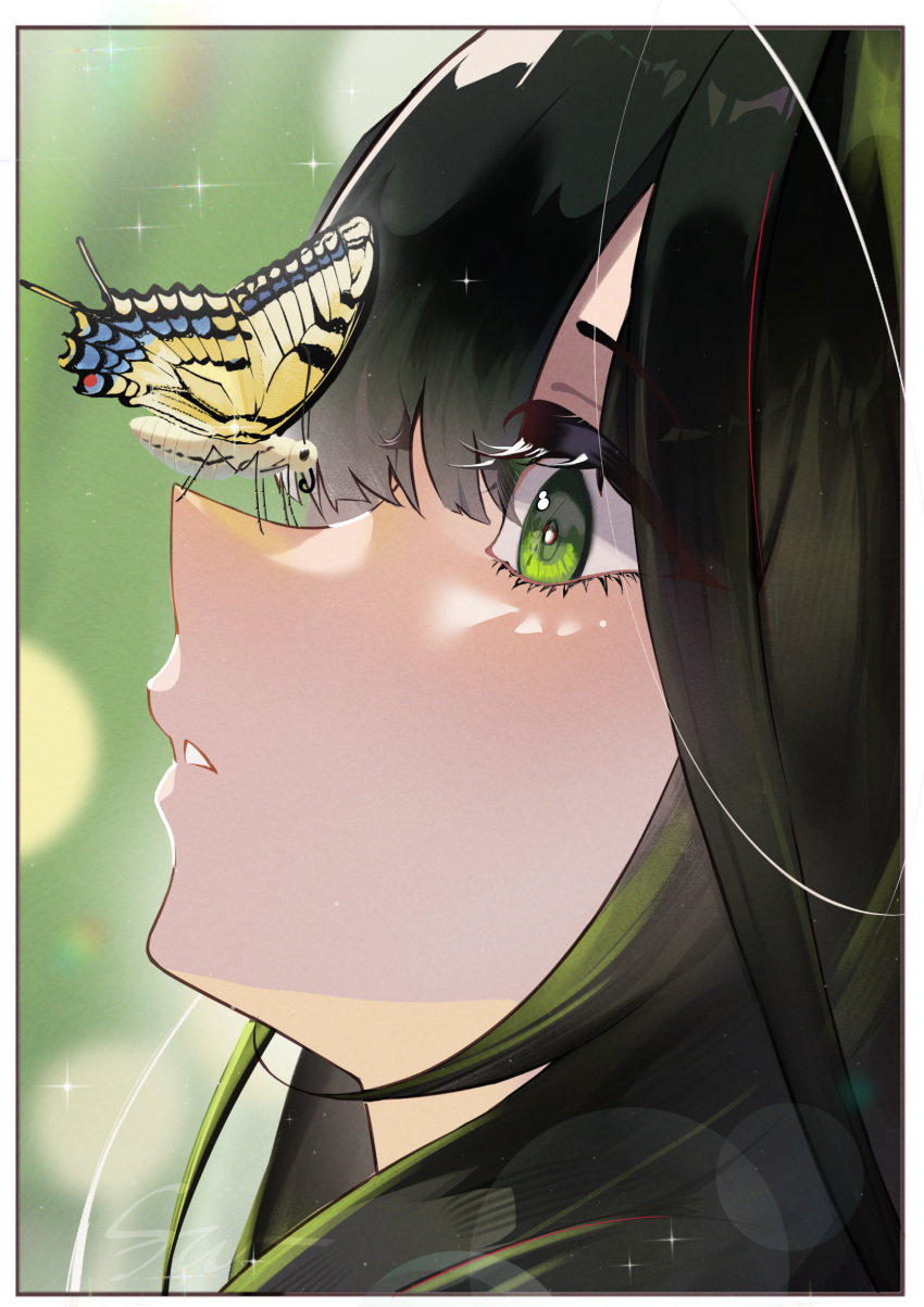 1girl, absurdres, arknights, black_hair, border, bug, butterfly, butterfly_on_face