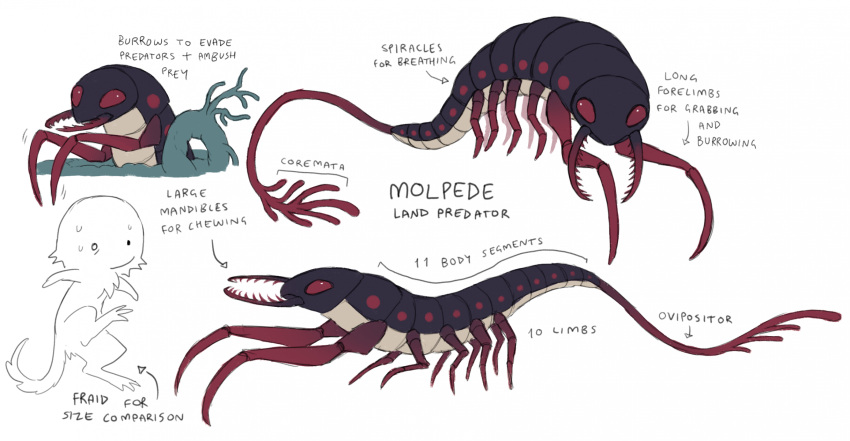 animal, animal_focus, arthropod, body_fur, bug, creature, fraid, highres