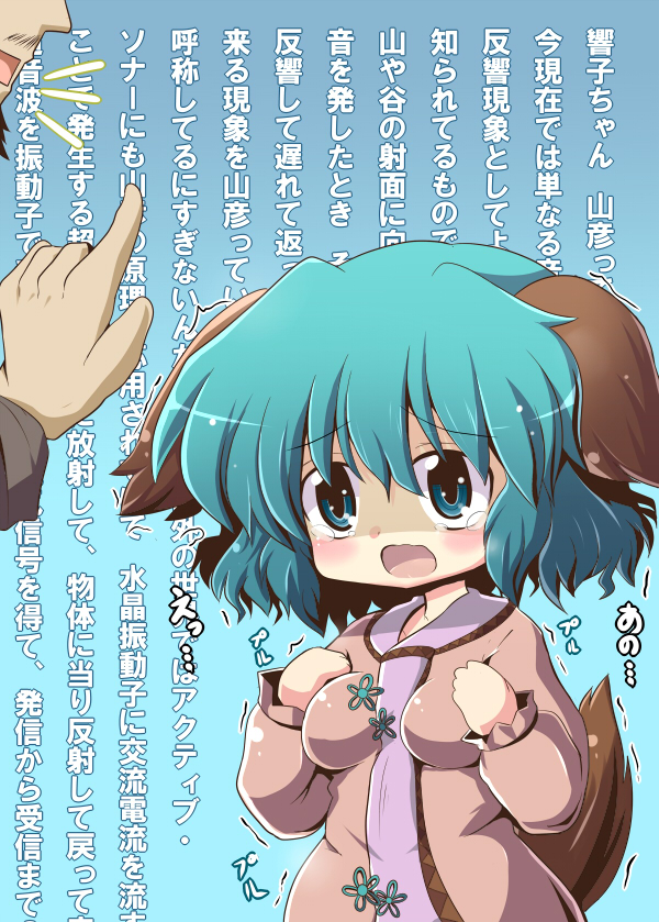 53, animal_ears, blush, breasts, dress, green_eyes, green_hair, kasodani_kyouko