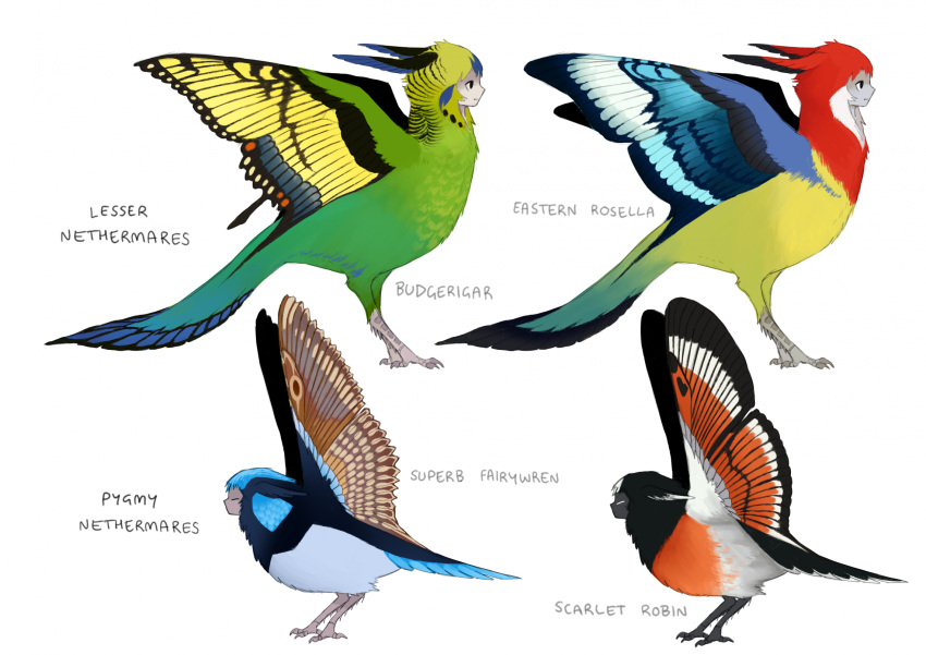bird, black_feathers, blue_feathers, blue_tail, blue_wings, budgerigar_(bird), butterfly_wings, eastern_rosella