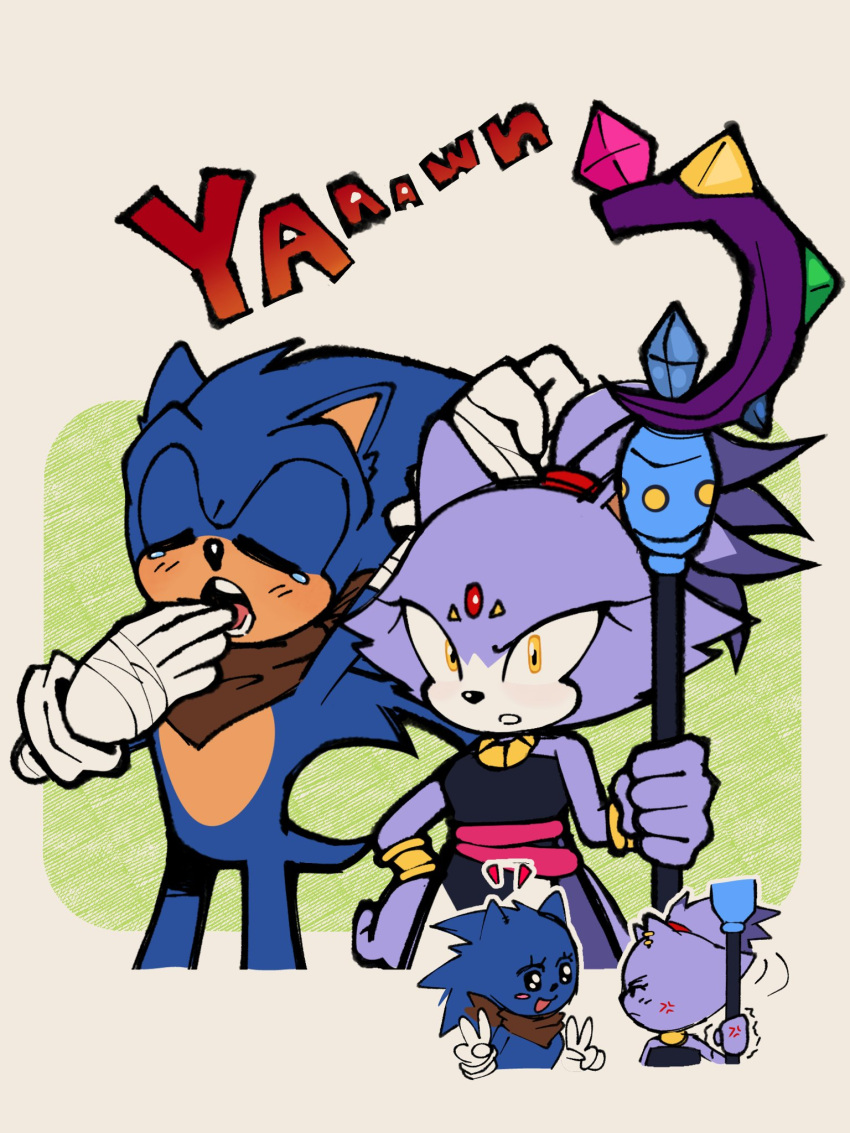 1boy, 1girl, alternate_costume, anger_vein, angry, bandaged_arm, bandages, blaze_the_cat