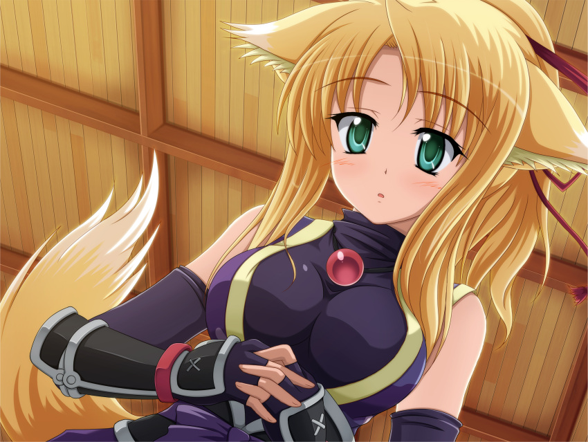 1girl, blonde_hair, blush, breasts, bust, dog_days, dog_ears, dog_tail