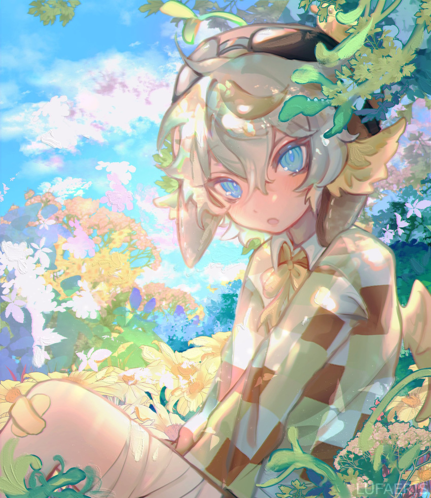 1boy, animal_ears, bandaid, bandaid_on_knee, bandaid_on_leg, black_eyes, black_hair, black_hat