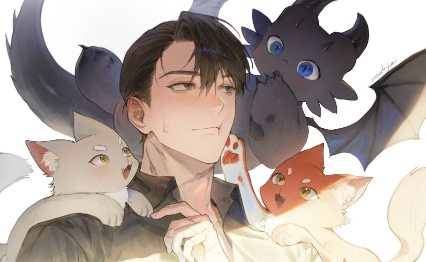 1boy, animal_ear_fluff, animal_on_shoulder, biting, black_hair, black_shirt, blue_eyes, brown_eyes