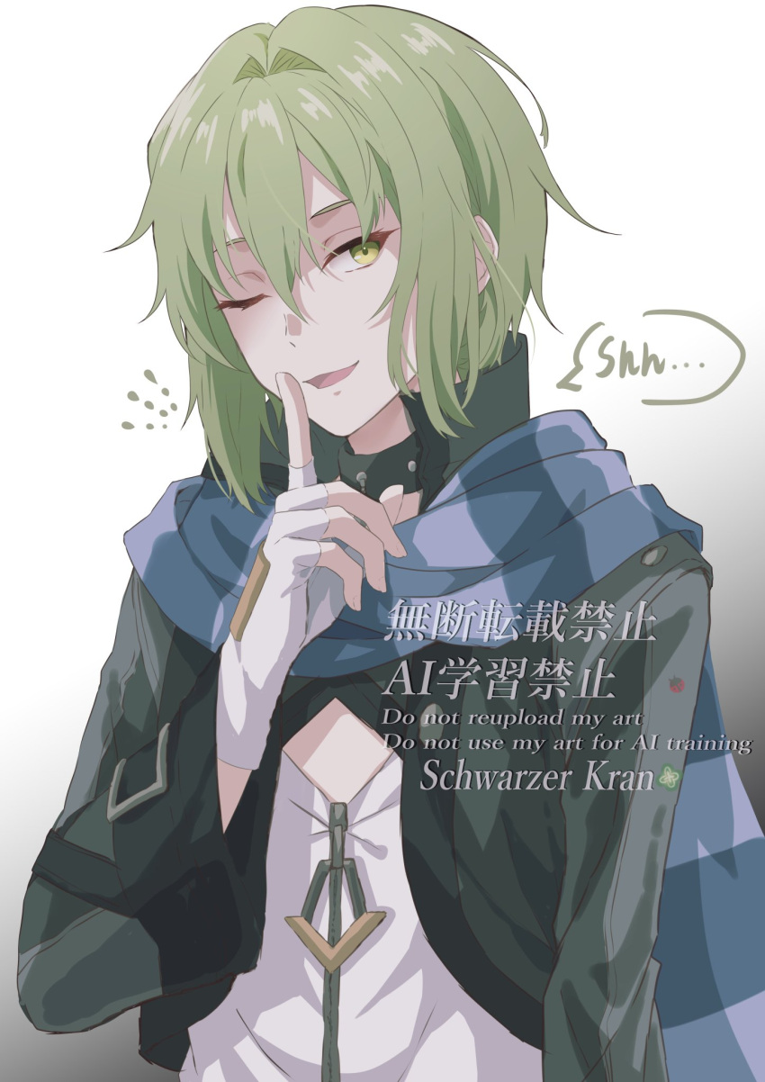 1boy, androgynous, blue_scarf, commentary, eiyuu_densetsu, english_commentary, green_hair, hair_between_eyes