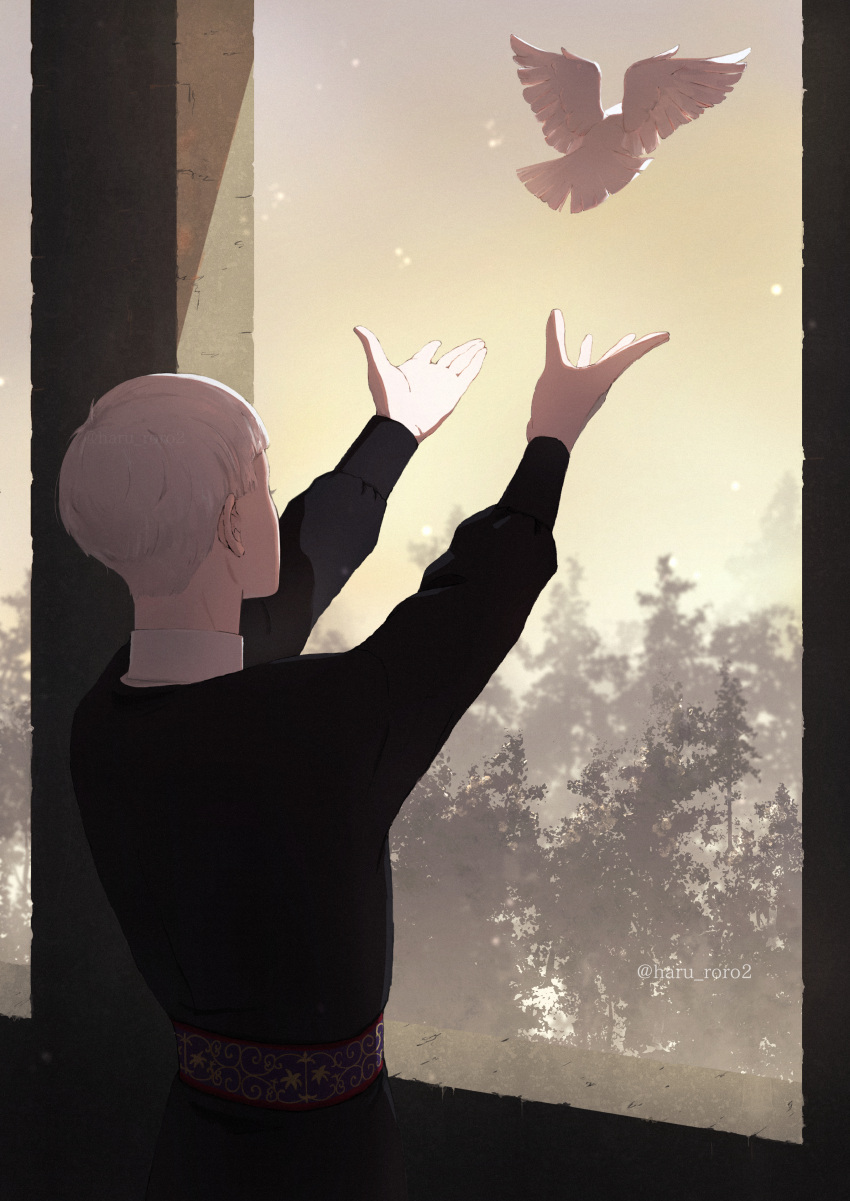 1boy, absurdres, bird, commentary_request, dove, from_behind, grey_sky, highres