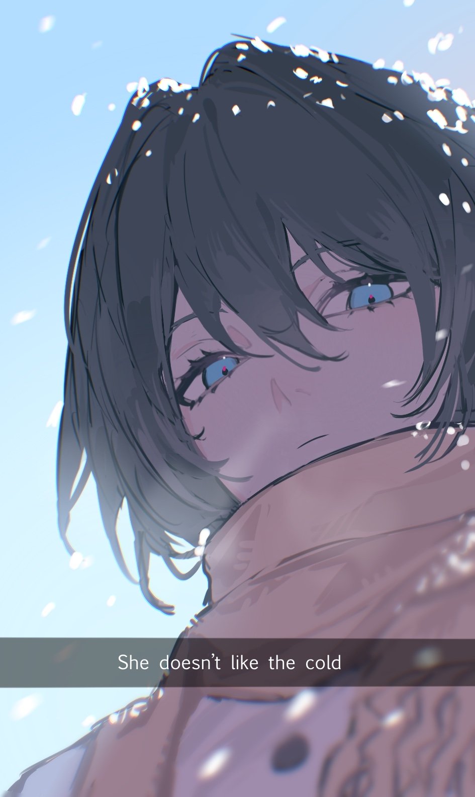 1girl, 1nuyaki, black_hair, blue_eyes, blue_sky, caption, closed_mouth, english_text, from_below, grey_scarf, highres, honkai:_star_rail, honkai_(series), looking_at_viewer, ruan_mei_(honkai:_star_rail), scarf, sky, snow_on_head, snowing, solo, upper_body