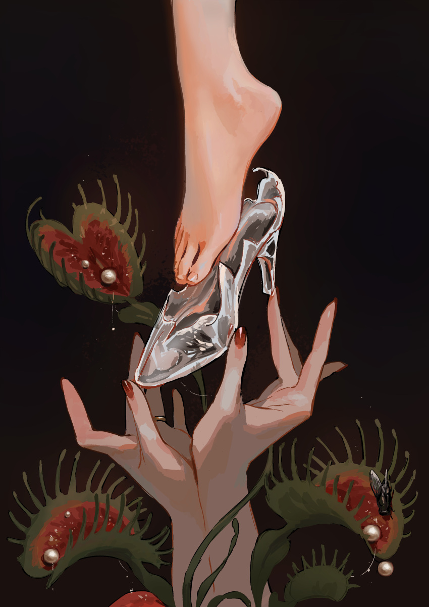 2girls, absurdres, bug, close-up, dark_background, feet, fly, foot_focus