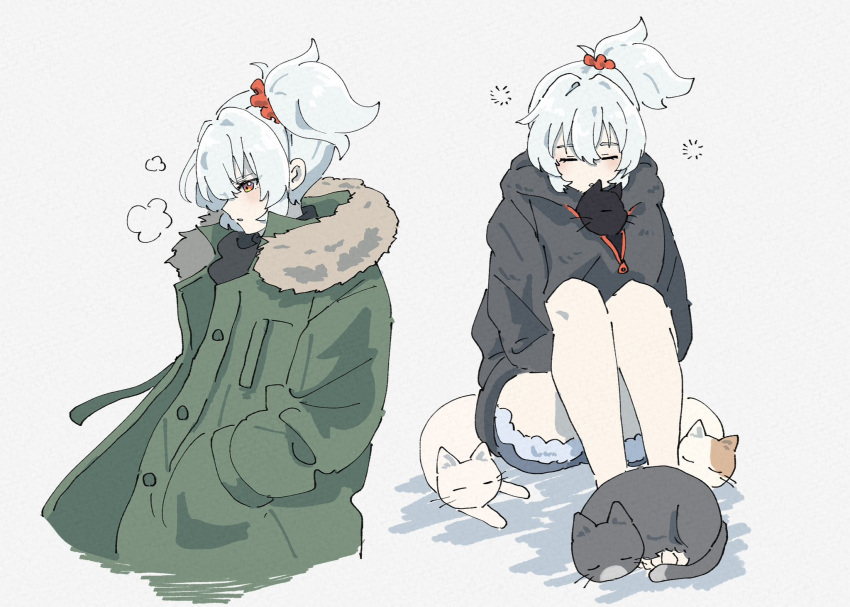 1girl, brown_eyes, cat, closed_eyes, coat, green_coat, grey_background, hair_between_eyes, highres, long_hair, multiple_views, netsu_0716, parted_lips, side_ponytail, sidelocks, simple_background, sitting, soldier_11_(zenless_zone_zero), white_hair, zenless_zone_zero