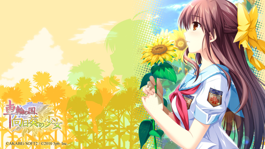 alpha, blush, brown_hair, flower, highres, hinata_natsumi, hinata_natsumi_(sharin_no_kuni), orange_eyes, ribbon, school_uniform, sharin_no_kuni_himawari_no_shoujo, sunflower, wallpaper