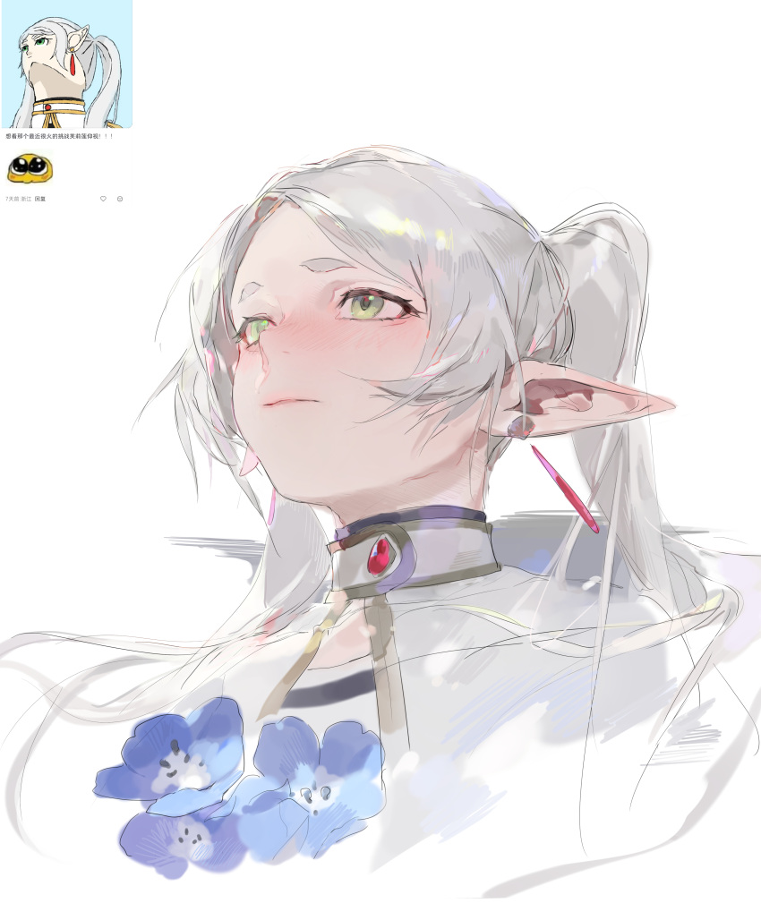 1girl, absurdres, black_shirt, blue_flower, blush, capelet, chinese_commentary, closed_mouth