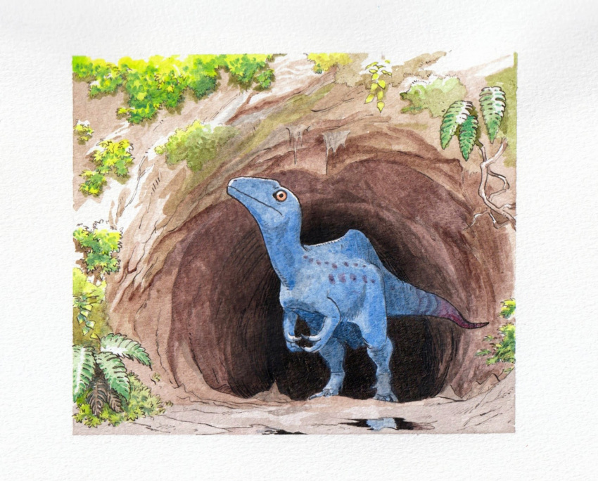 altispinax, animal_focus, black_eyes, bush, cave, closed_mouth, colored_sclera, commentary, dinosaur, fern, highres, no_humans, orange_sclera, original, painting_(medium), paleoart, puddle, solo, theropod, traditional_media, user_haug8323, watercolor_(medium)