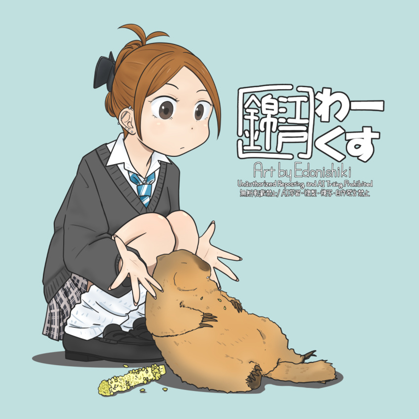1girl, aqua_background, barbell_piercing, black_sweater, brown_eyes, brown_hair, closed_mouth, collared_shirt, commentary_request, corn, corn_cob, dot_nose, drop_shadow, ear_piercing, edo_nishiki, full_body, hair_up, highres, industrial_piercing, legs_together, loafers, loose_socks, marmot, necktie, original, overeating, parted_bangs, piercing, plaid_clothes, plaid_skirt, pleated_skirt, shirt, shoes, signature, skirt, socks, solo, spread_fingers, squatting, striped_necktie, stud_piercings, sweater, watermark, white_shirt
