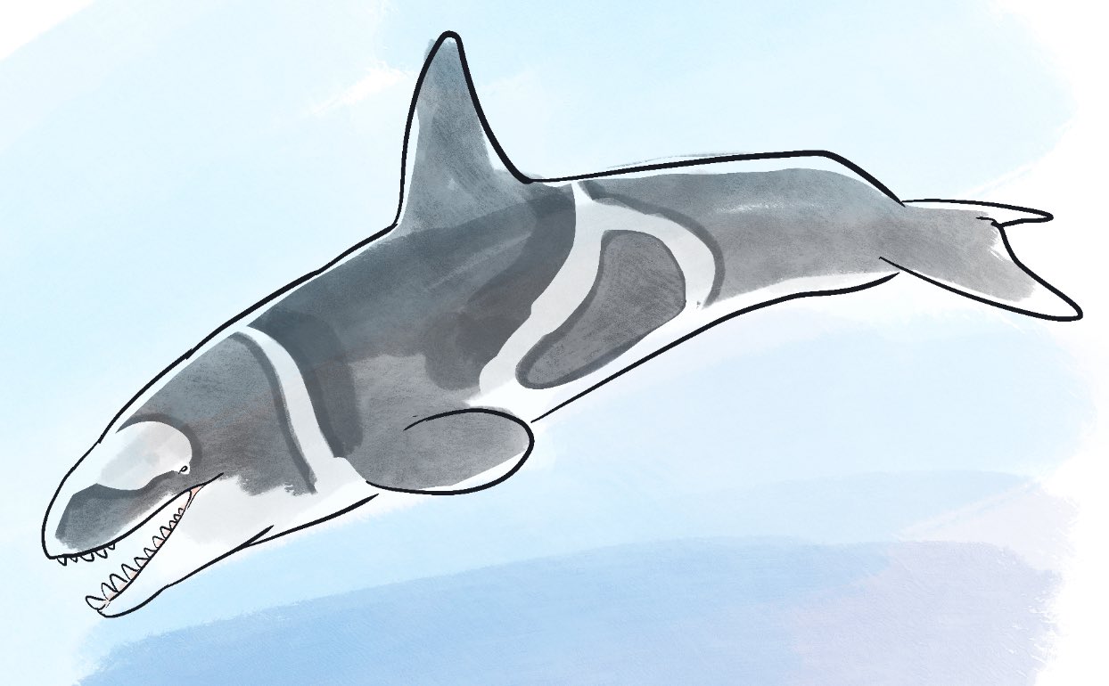 animal, j_stocky, no_humans, ocean, orca, sea_creature, speculative_evolution, whale