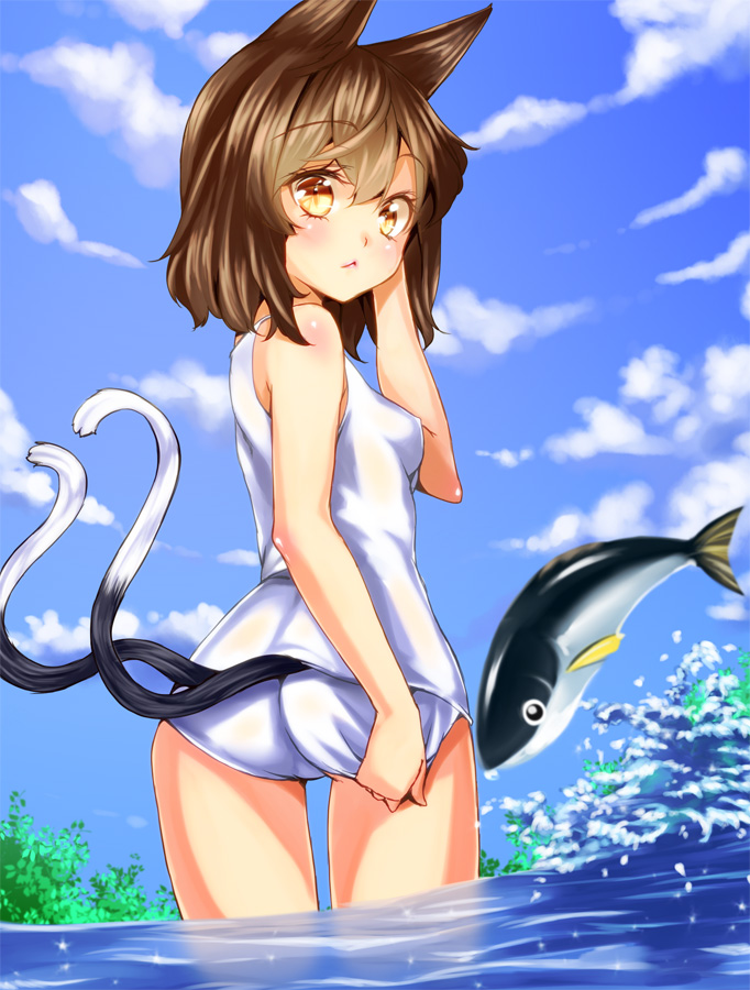 :<, animal_ears, ass, bad_id, blush, brown_eyes, brown_hair, cat_ears