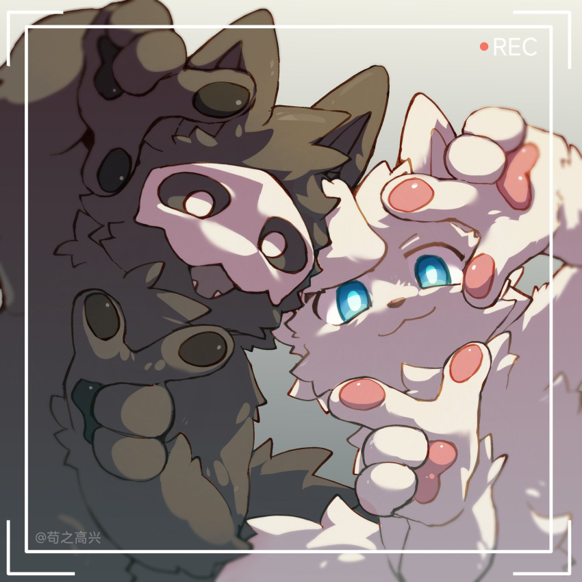 2boys, :3, animal_ears, animal_nose, black_ears, black_fur, black_sclera, black_tail, blue_eyes, bright_pupils, changed, chest_fur, colored_sclera, commentary, dog_of_happy, finger_frame, fluffy, fluffy_tail, furry, furry_male, furry_with_furry, gradient_background, grey_background, hair_tuft, highres, lin_(changed), multiple_boys, one_ear_down, open_mouth, pawpads, pointy_ears, puro_(changed), recording, simple_background, symbol-only_commentary, tail, white_fur, white_mask, white_pupils, white_tail, wolf, wolf_ears, wolf_tail