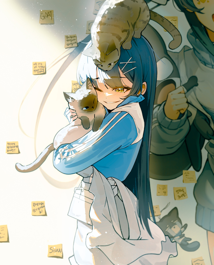 1girl, absurdres, animal_hug, animal_on_head, apron, aqua_hair, blue_jacket, cat