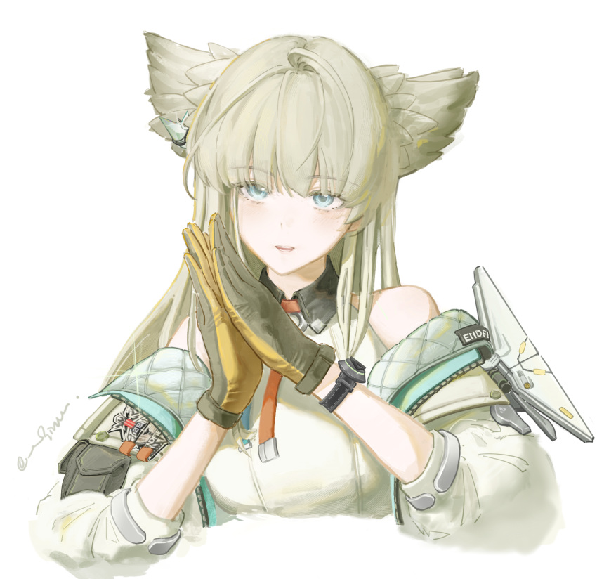 1girl, animal_ears, aqua_eyes, arknights, arknights:_endfield, bird_ears, cropped_torso, grey_hair