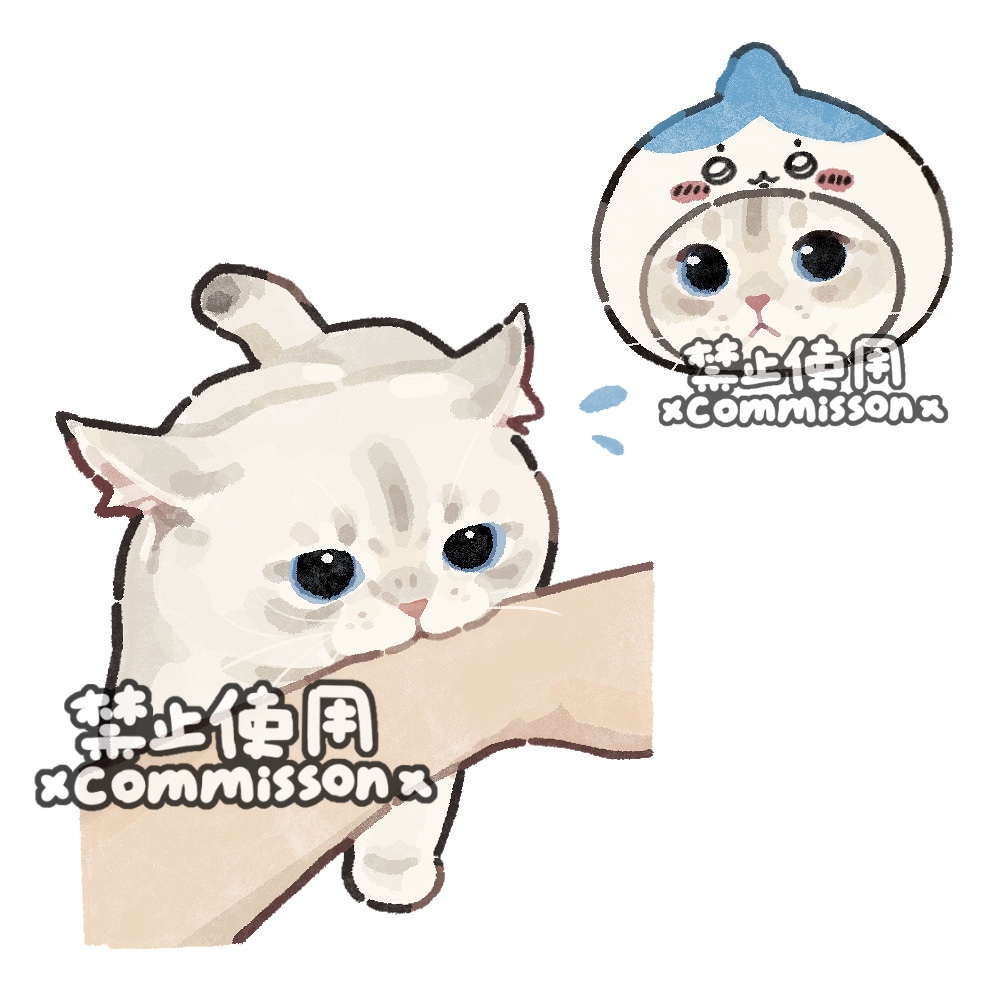 1other, animal, animal_focus, biting_another's_arm, blue_eyes, cat, chiikawa, clothed_animal