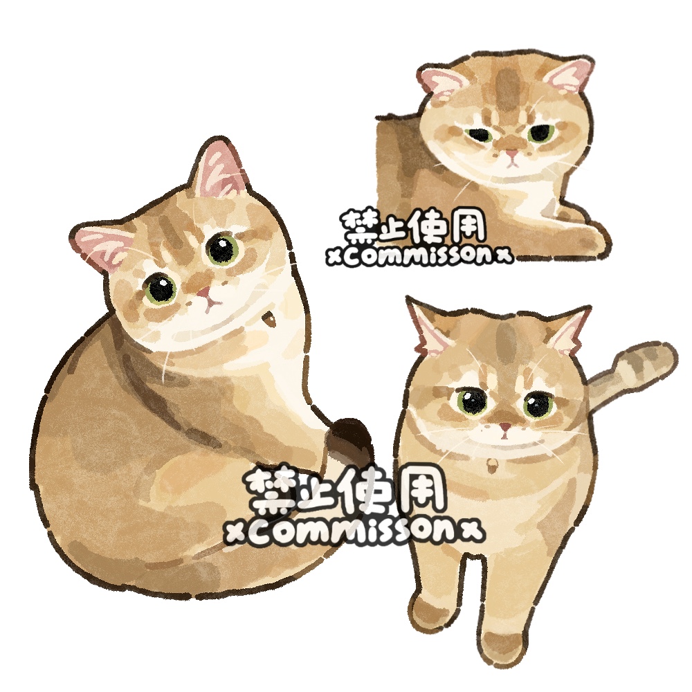animal, animal_focus, british_shorthair, cat, commission, cropped_torso, full_body, golden_british_shorthair