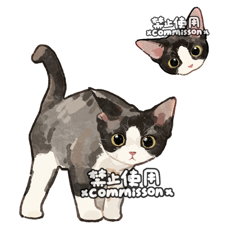 animal, animal_focus, baby_animal, cat, commission, cropped_head, devon_rex, full_body