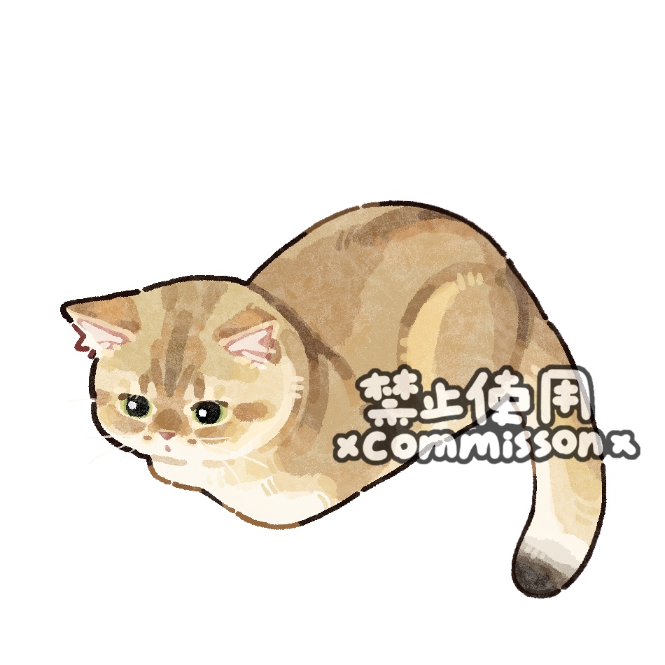 animal, animal_focus, british_shorthair, cat, cat_loaf, commission, full_body, golden_british_shorthair
