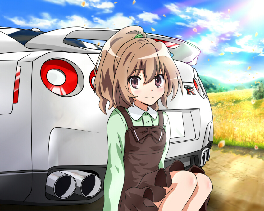 aisaka_taiga, alternate_hairstyle, brown_hair, car, car_tail, cloud, clouds, dress, motor_vehicle, nissan, nissan_gt-r, petals, ponytail, sitting, sky, smile, solo, toradora!, vehicle, wingheart