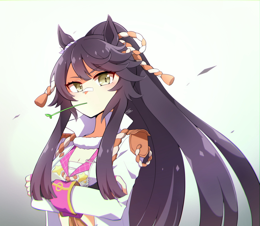 1girl, absurdres, animal_ears, commentary_request, crossed_arms, dated_commentary, english_commentary, eyelashes