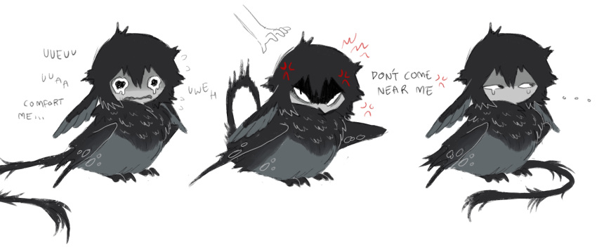 ..., anger_vein, angry, begging, bird, black_eyes, black_feathers, black_hair
