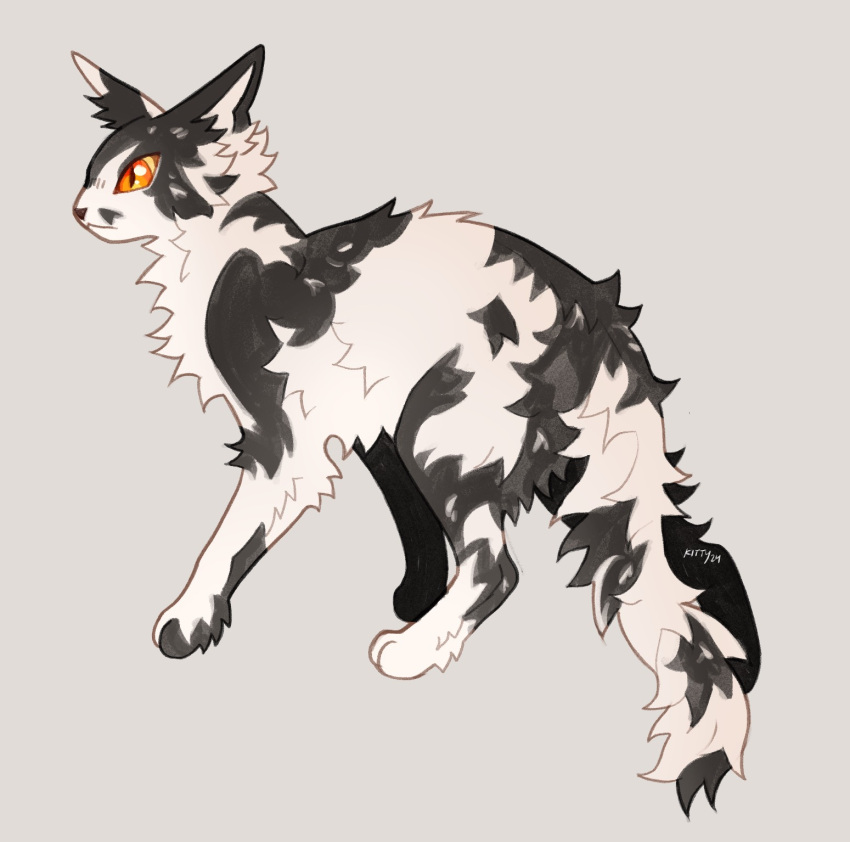 animal, animal_focus, cat, commentary, from_side, full_body, grey_background, highres, kitty_(fernwhisker), long_tail, no_humans, orange_eyes, solo, standing, tail, tallstar, the_prophecies_begin, tuxedo_cat, warrior_cats