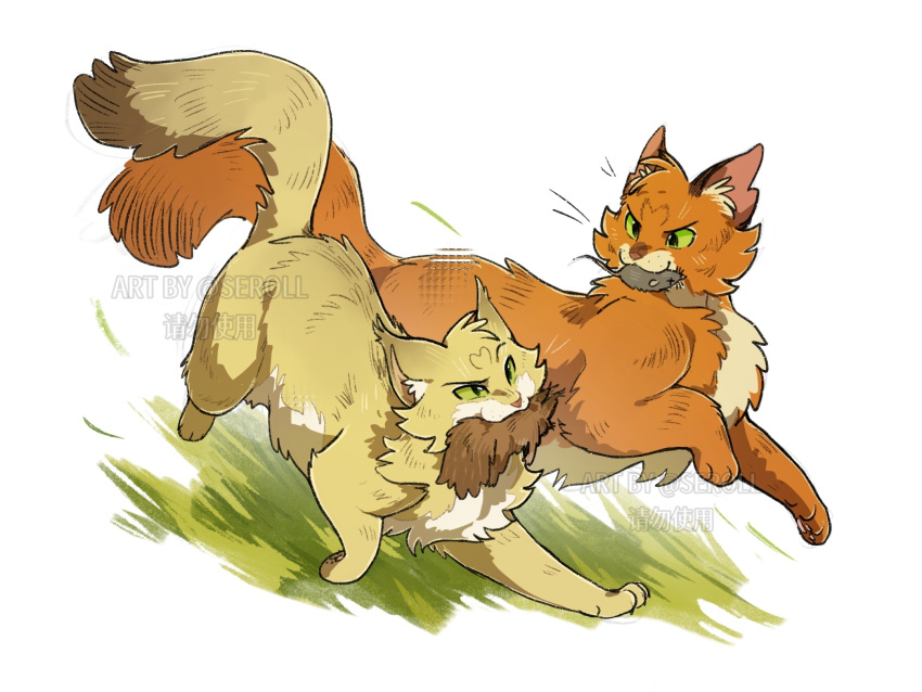 animal, animal_focus, cat, chinese_commentary, commentary_request, dead_animal, firestar_(warrior_cats), full_body, grass, green_eyes, highres, mouse_(animal), mouth_hold, no_humans, orange_cat, predation, running, sandstorm_(warrior_cats), seroll, simple_background, squirrel, the_prophecies_begin, warrior_cats, warrior_cats_(graphic_novels), watermark, white_background, yellow_cat