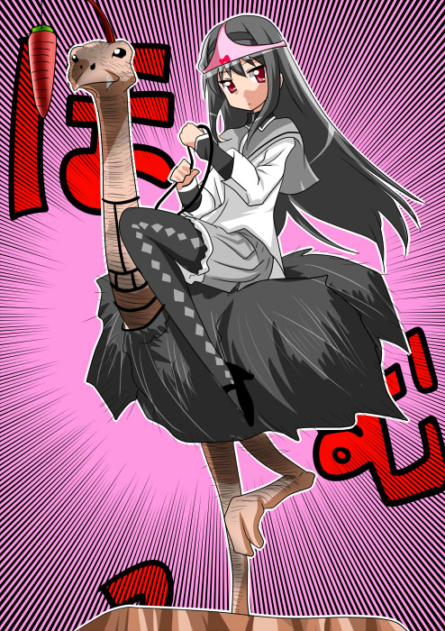 akemi_homura, argyle, argyle_legwear, bird, black_hair, carrot, homu, long_hair