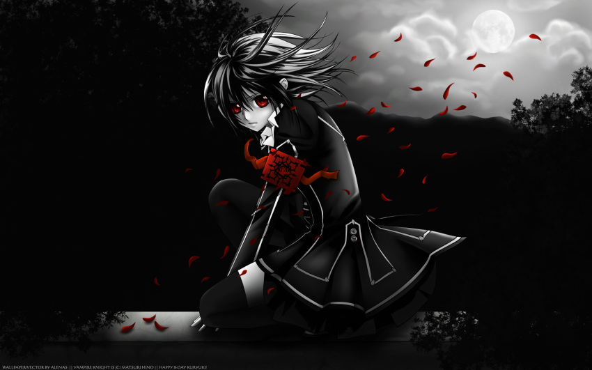 cross_yuuki, dark, matsuri_hino, polychromatic, vampire_knight